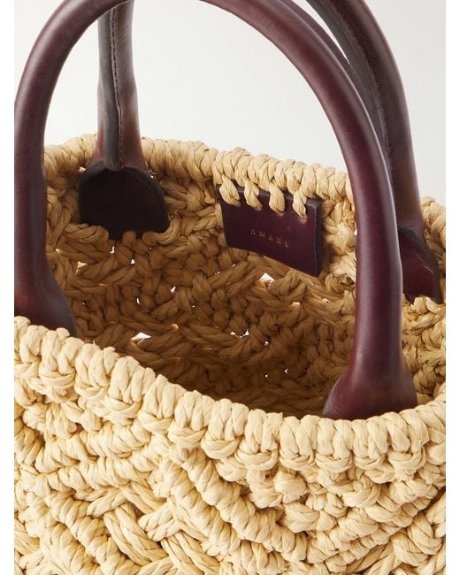 Amanu Metallic The Zanzibar Leather-Trimmed Raffia-Effect Woven Mini Bag