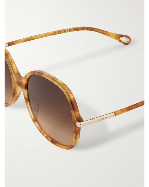Chloé Brown Rounded-Frame Acetate Sunglasses