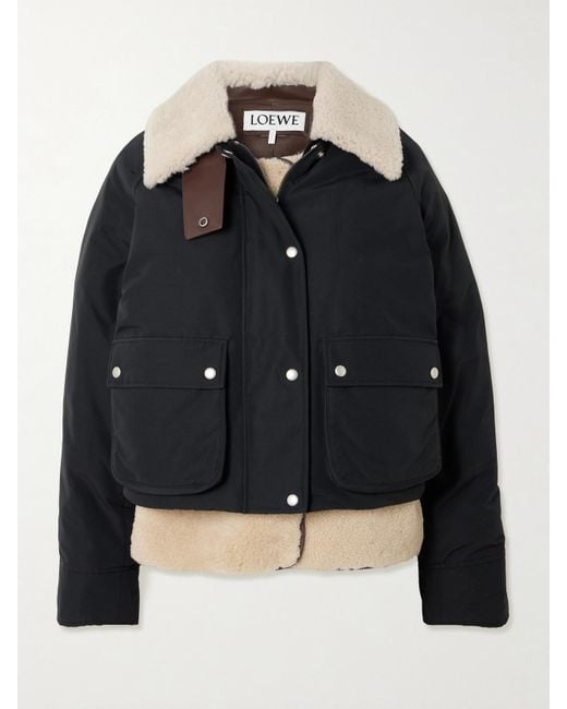 Loewe Black Jackets