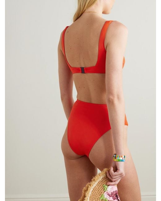 Bondi Born Red Poppy Bikini-Höschen Aus Embodee-Material