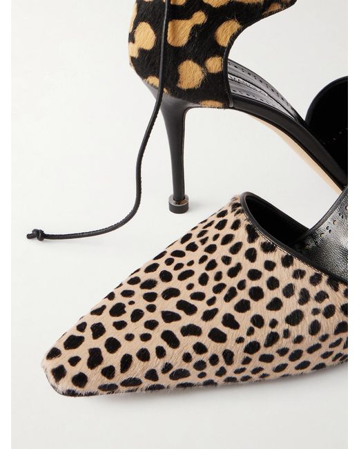 Manolo Blahnik Multicolor Gambis 90 Calf Hair Animal-Print Pumps
