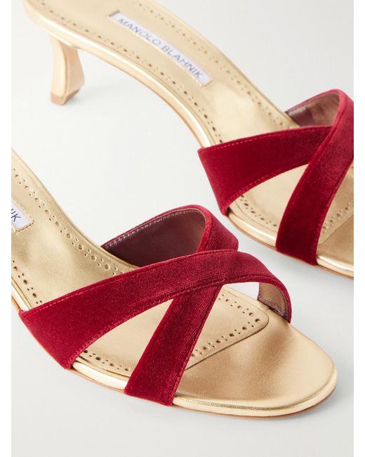 Manolo Blahnik Pink Callydramu 50 Velvet Sandals