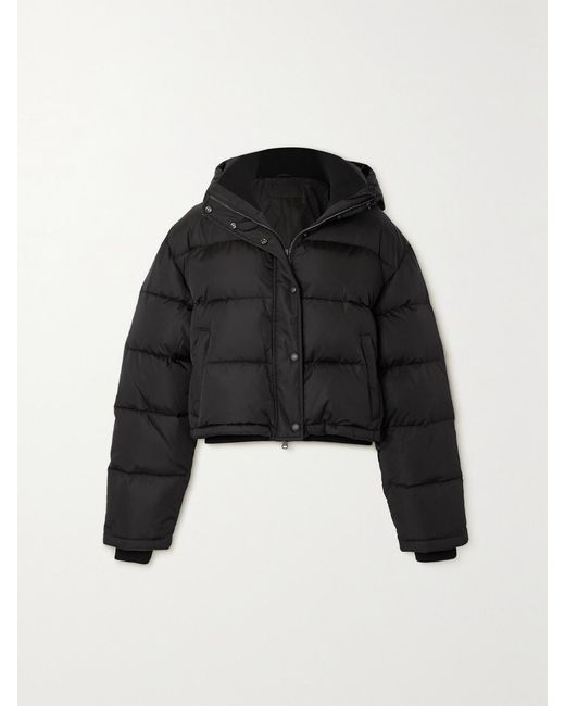 Wardrobe NYC Black Net-A-Porter Hooded Quilted Padded Shell Down Jacket