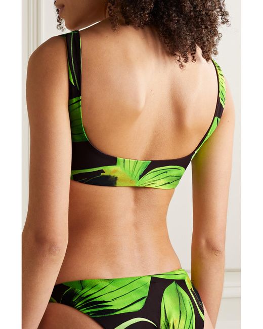 Louisa Ballou Green Printed Stretch Bikini Top