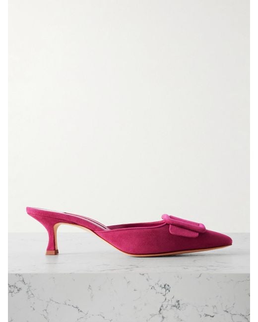 Manolo Blahnik Pink Maysale 50 Buckled Suede Mules