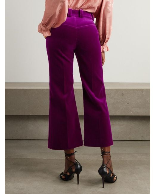 Chloé Purple Verkürzte Bootcut-Hose Aus Baumwollsamt