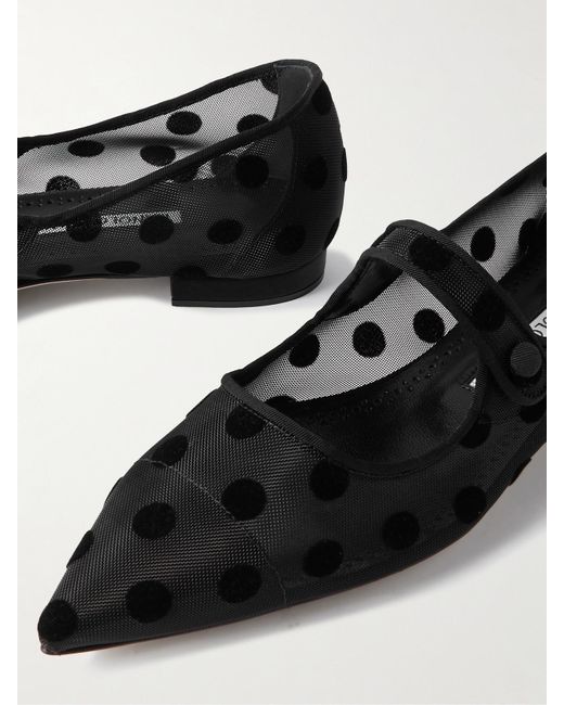 Manolo Blahnik Black Campari Grosgrain-Trimmed Flocked Mesh Ballet Flats