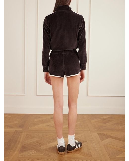 Sporty & Rich Black Embroidered Cotton-Velour Shorts