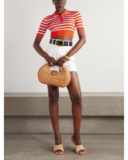 Dolce & Gabbana Orange Cropped Striped Ribbed-Knit Polo Shirt