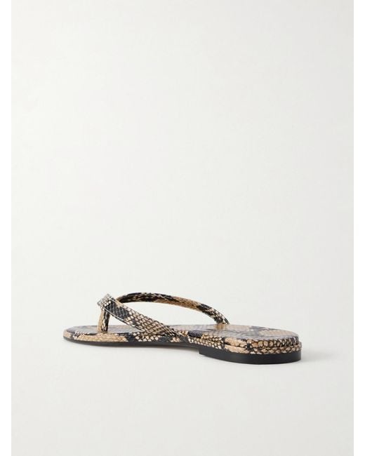 Aeyde Multicolor Melody Snake-Effect Leather Flip Flops