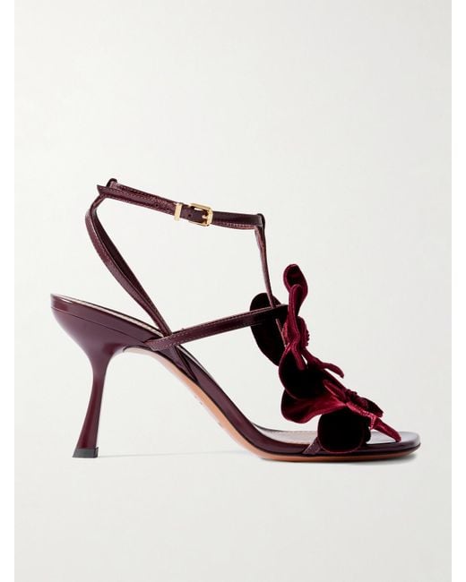 Zimmermann Red Orchid Appliquéd Velvet-Trimmed Glossed-Leather Sandals