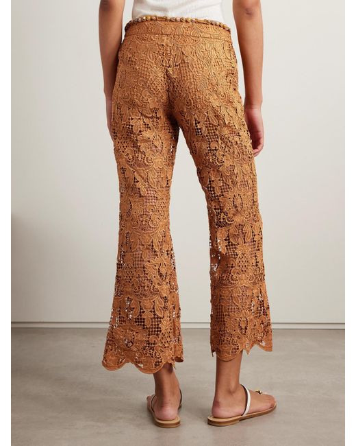 Zimmermann Brown Coco Belted Guipure Lace Cotton Flared Pants