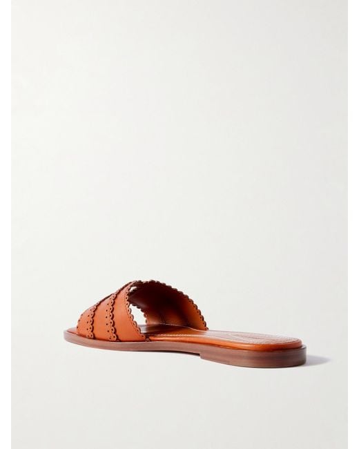 Zimmermann Brown Goldie Buckled Leather Slides
