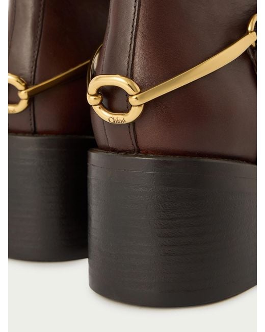 Chloé Brown Dakota Embellished Leather Ankle Boots