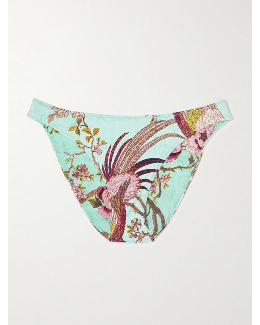 Skims Blue Roberto Cavalli Signature Swim Mid Waist Bottom – Fagianella – Bikini-Höschen