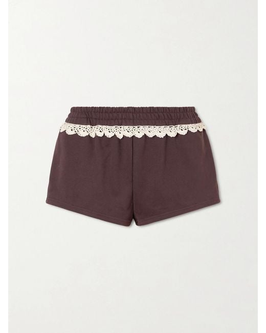 Magda Butrym Purple Lace-Trimmed Cotton-Jersey Shorts