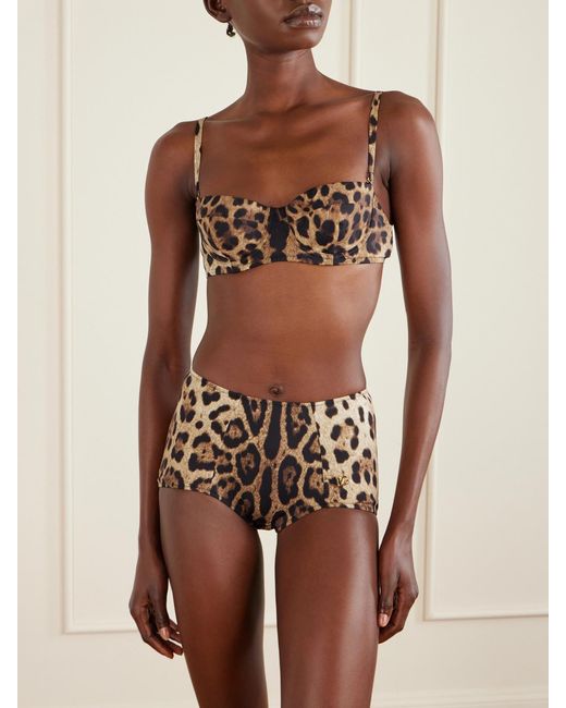 Dolce & Gabbana Multicolor Leopard-Print Bikini Brief