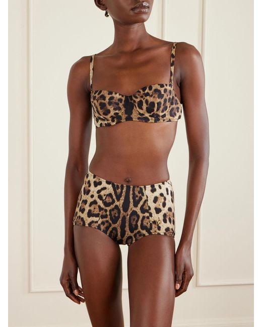 Dolce & Gabbana Brown Leopard-Print Balconette Bikini Top