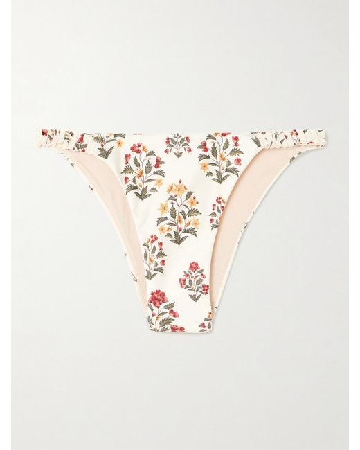 Agua Bendita Natural Vera Andes Ruffled Floral-Print Stretch Recycled Bikini Briefs