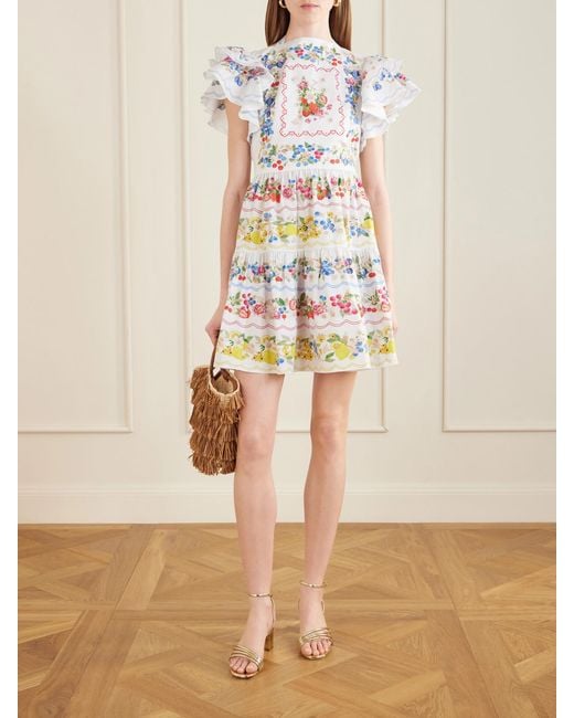 Mary Katrantzou Gray Margarita Ruffled Floral-Print Cotton-Poplin Mini Dress