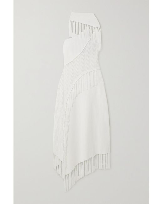 Cult Gaia Saida Oneshoulder Asymmetric Tasseled Pointelleknit Midi