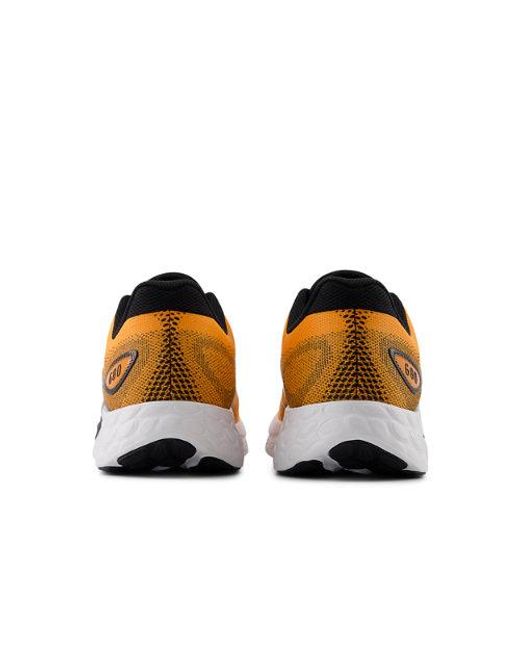 New Balance Brown Fresh Foam 680V8 Running Shoes for men