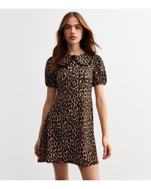 New Look Brown Leopard Print Peter Pan Collar Mini Dress