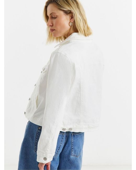 JD Williams Blue Ultimate Stretch Denim Jacket