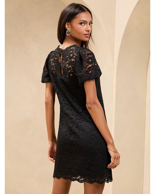 Black Shift Dress Outfit Buy Lipsy Red Lace Short Sleeve Underbust Skater Mini Dress From The Black Shift Dress Outfit Buy Lipsy Red Lace Short Sleeve Underbust Skater Mini Dress From The