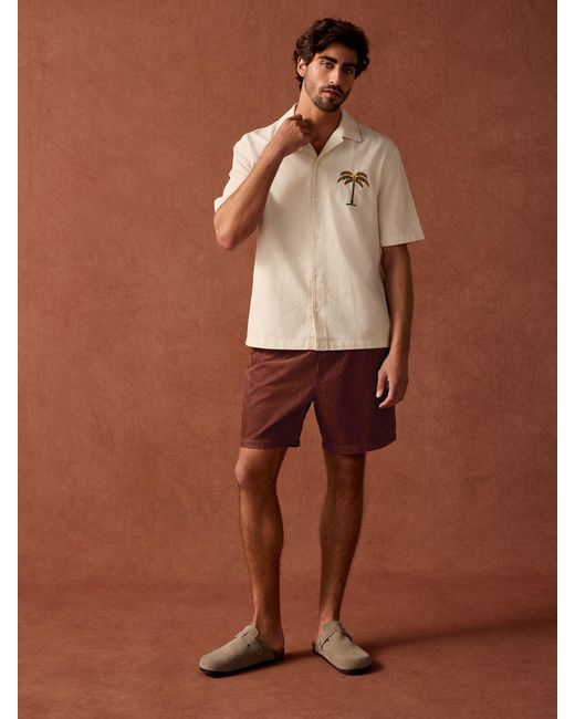 Next Brown Corduroy Elasticated Waist Shorts for men