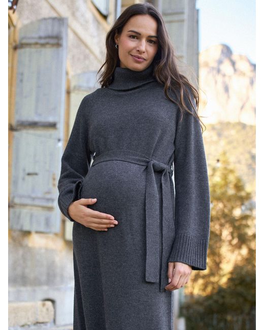Seraphine Multicolor Maternity Knit Dress