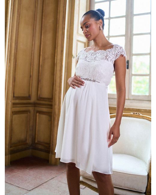 cream and blue lace dress Hattie Dress in Cornflower Blue Lace XXS main image 1