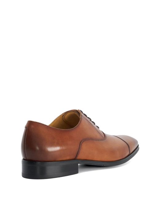 Dune Brown Solver Oxford Shoes for men