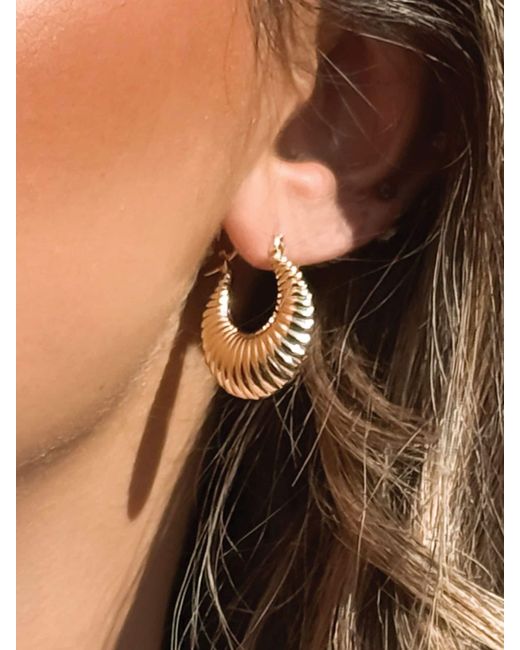 Ivory & Co. Metallic Newmarket Earrings