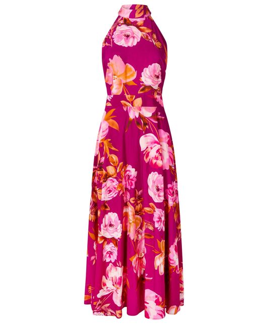 Joe Browns Petite Lulu Floral Halter Neck Dress in Pink | Lyst Australia Joe Browns Petite Lulu Floral Halter Neck Dress in Pink | Lyst Australia