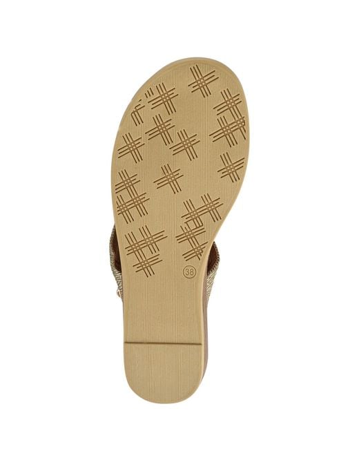 Pavers Brown Buckled Toe Post Sandals