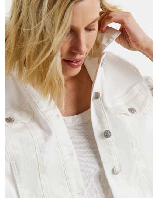 JD Williams Blue Ultimate Stretch Denim Jacket