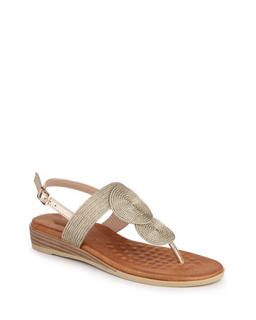Pavers Brown Buckled Toe Post Sandals