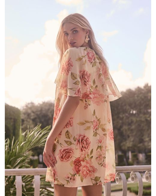 Lipsy Brown Print Flutter Sleeve Mini Shift Dress