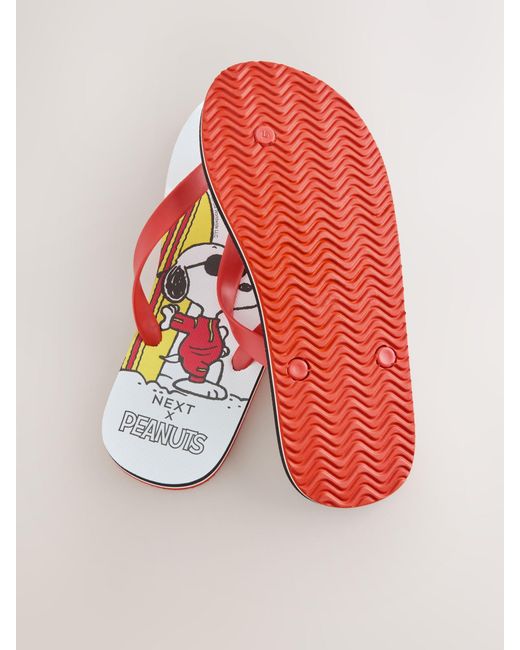 Next Multicolor Flip Flops for men
