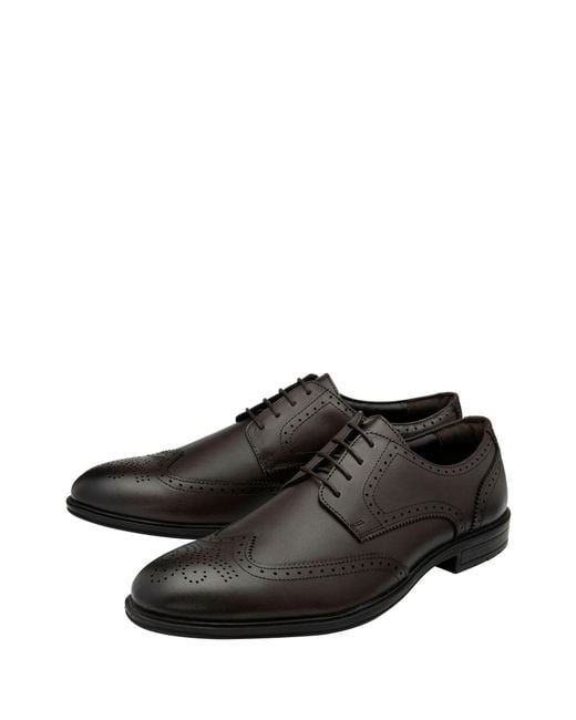 Lotus Black Leather Lace-Up Brogues for men