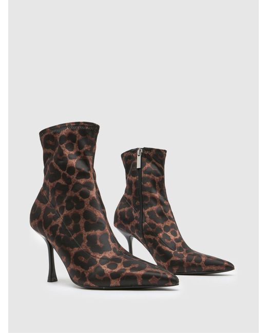 Schuh Brown Babette Point Shoes
