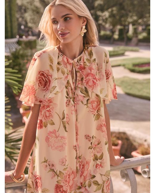 Lipsy Brown Print Flutter Sleeve Mini Shift Dress