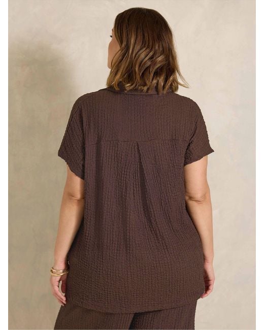 Evans Brown Polo Top
