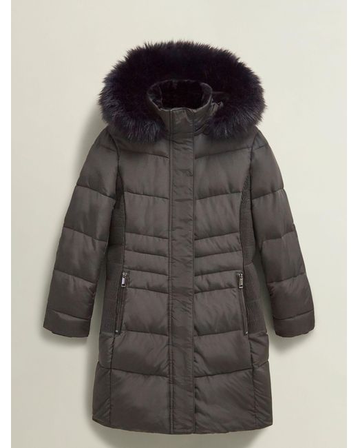 Hobbs Black Petite Jaymie Puffer Jacket