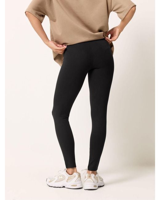 PixieGirl Petite Black Pixiegirl Petite Basic Leggings 3 Pack