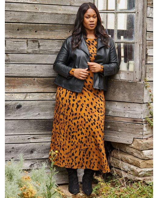 Live Unlimited Women's Brown Curve Animal Print Ruched Jersey Dress