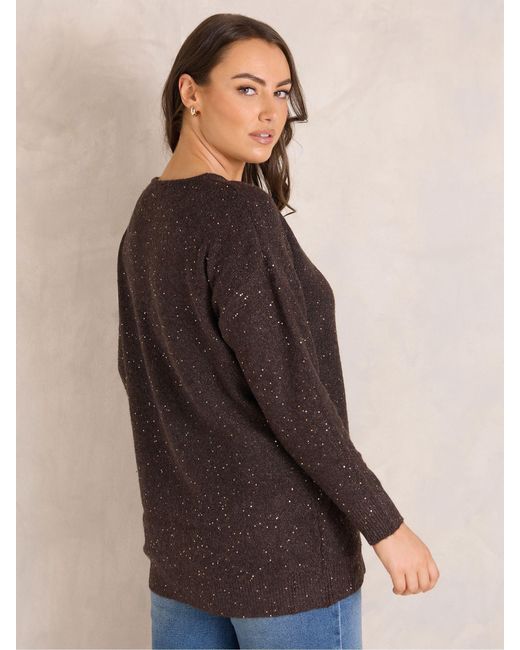 Evans Brown Sparkly Jumper