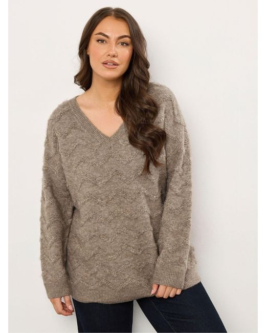 Evans Natural Zig Zag V-Neck Jumper