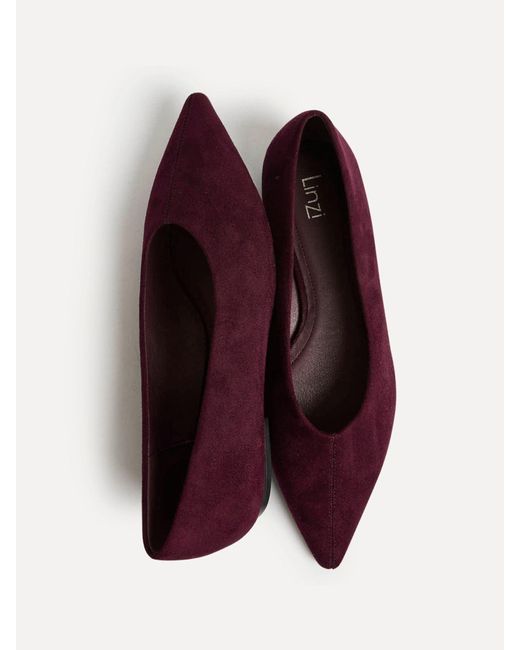 Linzi Red Direct Point Toe Flat Ballet Pumps